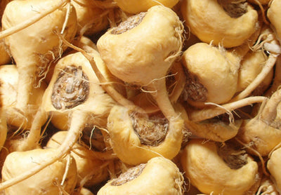 Maca Root